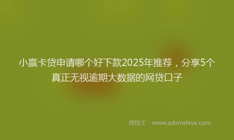 小赢卡贷申请哪个好下款2025年推荐，分享5个真正无视逾期大数据的网贷口子