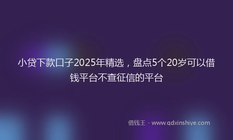 小贷下款口子2025年精选，盘点5个20岁可以借钱平台不查征信的平台
