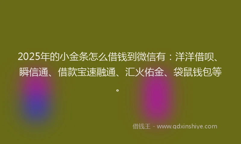 2025年的小金条怎么借钱到微信有：洋洋借呗、瞬信通、借款宝速融通、汇火佑金、袋鼠钱包等。