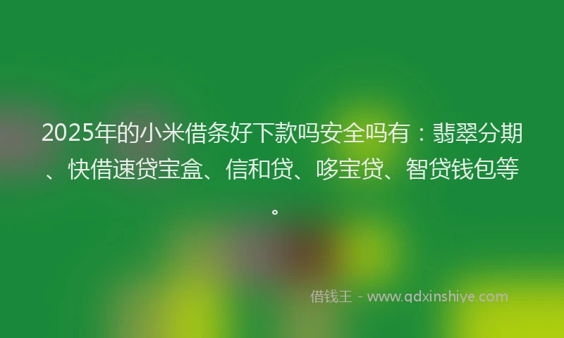 2025年的小米借条好下款吗安全吗有：翡翠分期、快借速贷宝盒、信和贷、哆宝贷、智贷钱包等。