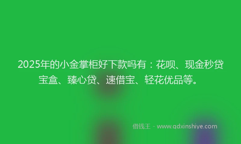 2025年的小金掌柜好下款吗有：花呗、现金秒贷宝盒、臻心贷、速借宝、轻花优品等。