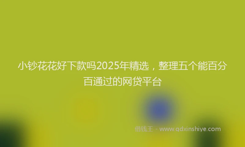 小钞花花好下款吗2025年精选，整理五个能百分百通过的网贷平台