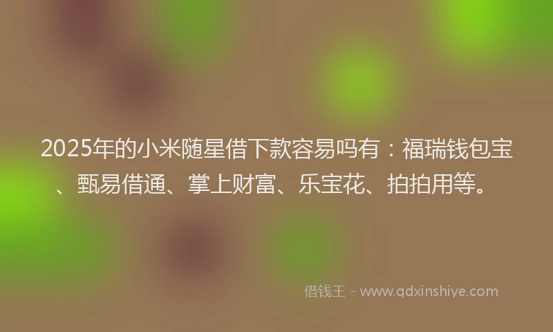 2025年的小米随星借下款容易吗有：福瑞钱包宝、甄易借通、掌上财富、乐宝花、拍拍用等。