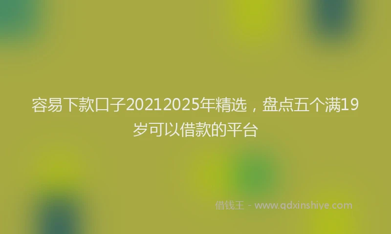 容易下款口子20212025年精选，盘点五个满19岁可以借款的平台