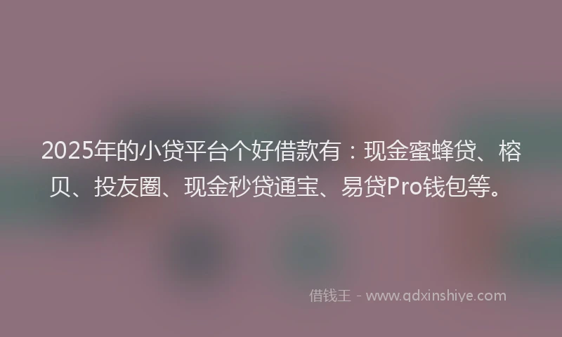 2025年的小贷平台个好借款有：现金蜜蜂贷、榕贝、投友圈、现金秒贷通宝、易贷Pro钱包等。