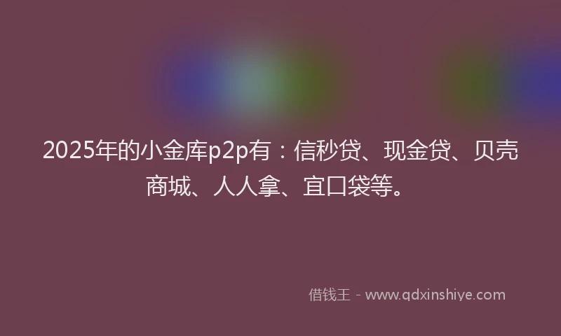 2025年的小金库p2p有：信秒贷、现金贷、贝壳商城、人人拿、宜口袋等。