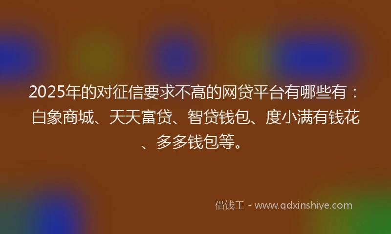 2025年的对征信要求不高的网贷平台有哪些有：白象商城、天天富贷、智贷钱包、度小满有钱花、多多钱包等。