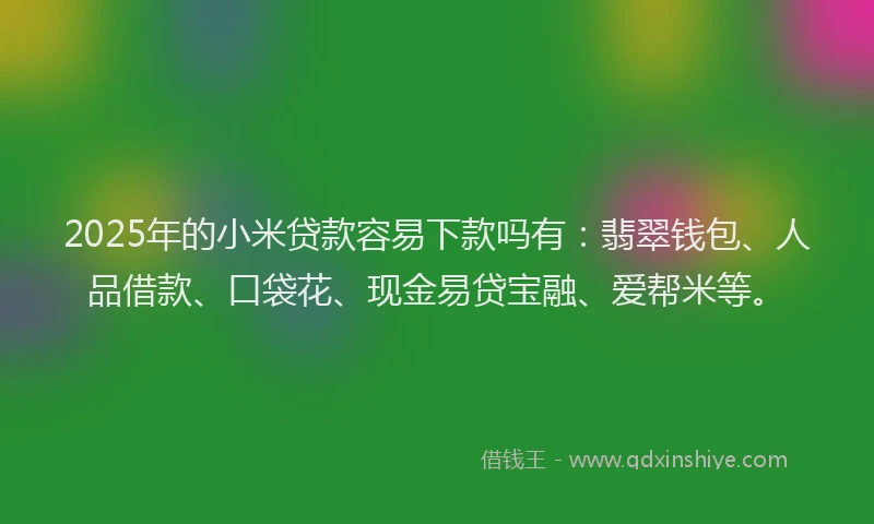 2025年的小米贷款容易下款吗有：翡翠钱包、人品借款、口袋花、现金易贷宝融、爱帮米等。