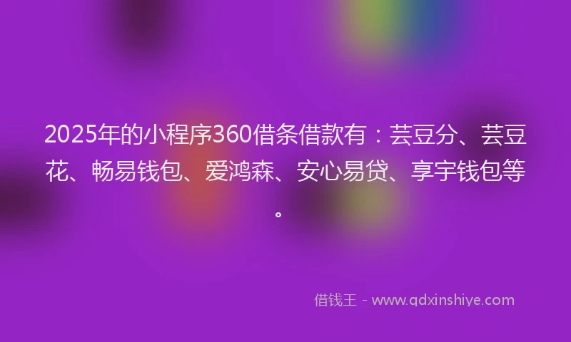 2025年的小程序360借条借款有：芸豆分、芸豆花、畅易钱包、爱鸿森、安心易贷、享宇钱包等。