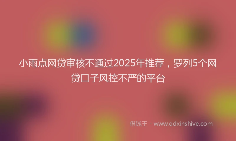 小雨点网贷审核不通过2025年推荐，罗列5个网贷口子风控不严的平台
