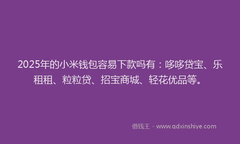 2025年的小米钱包容易下款吗有：哆哆贷宝、乐租租、粒粒贷、招宝商城、轻花优品等。