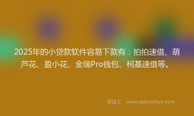 2025年的小贷款软件容易下款有：拍拍速借、葫芦花、盈小花、金瑞Pro钱包、柯基速借等。