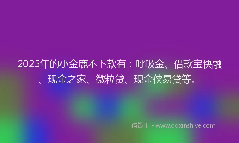 2025年的小金鹿不下款有：呼吸金、借款宝快融、现金之家、微粒贷、现金侠易贷等。