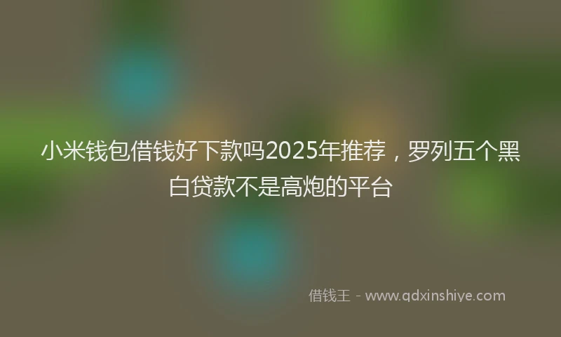 小米钱包借钱好下款吗2025年推荐，罗列五个黑白贷款不是高炮的平台