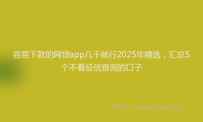 容易下款的网贷app几千就行2025年精选，汇总5个不看征信查询的口子