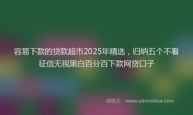 容易下款的贷款超市2025年精选，归纳五个不看征信无视黑白百分百下款网贷口子