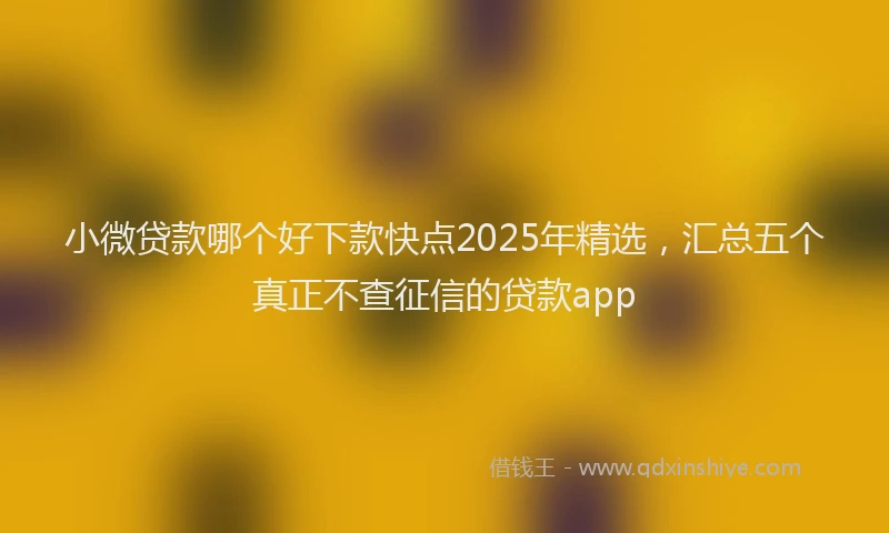 小微贷款哪个好下款快点2025年精选，汇总五个真正不查征信的贷款app