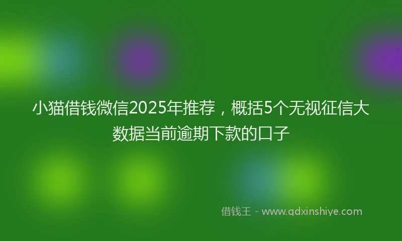 小猫借钱微信2025年推荐，概括5个无视征信大数据当前逾期下款的口子