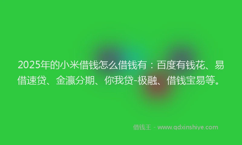 2025年的小米借钱怎么借钱有：百度有钱花、易借速贷、金瀛分期、你我贷-极融、借钱宝易等。