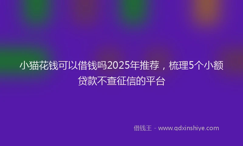 小猫花钱可以借钱吗2025年推荐，梳理5个小额贷款不查征信的平台