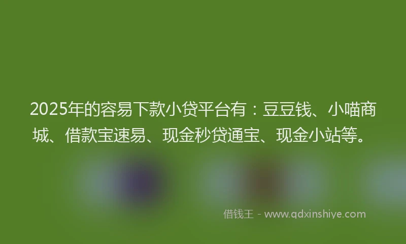 2025年的容易下款小贷平台有：豆豆钱、小喵商城、借款宝速易、现金秒贷通宝、现金小站等。