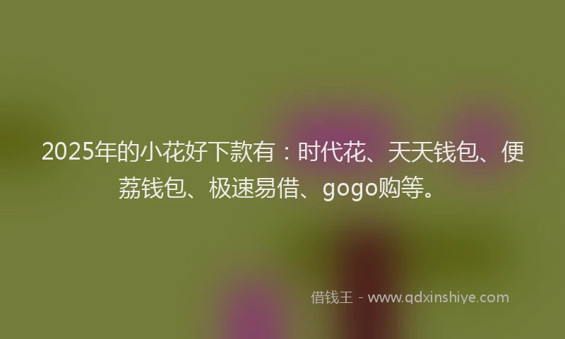 2025年的小花好下款有：时代花、天天钱包、便荔钱包、极速易借、gogo购等。