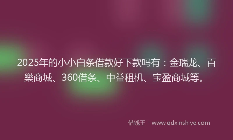 2025年的小小白条借款好下款吗有：金瑞龙、百樂商城、360借条、中益租机、宝盈商城等。