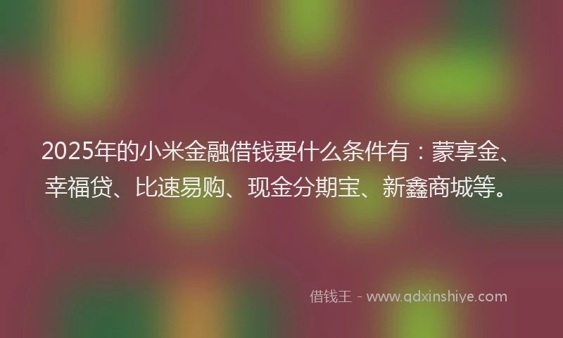 2025年的小米金融借钱要什么条件有：蒙享金、幸福贷、比速易购、现金分期宝、新鑫商城等。