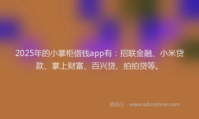 2025年的小掌柜借钱app有：招联金融、小米贷款、掌上财富、百兴贷、拍拍贷等。