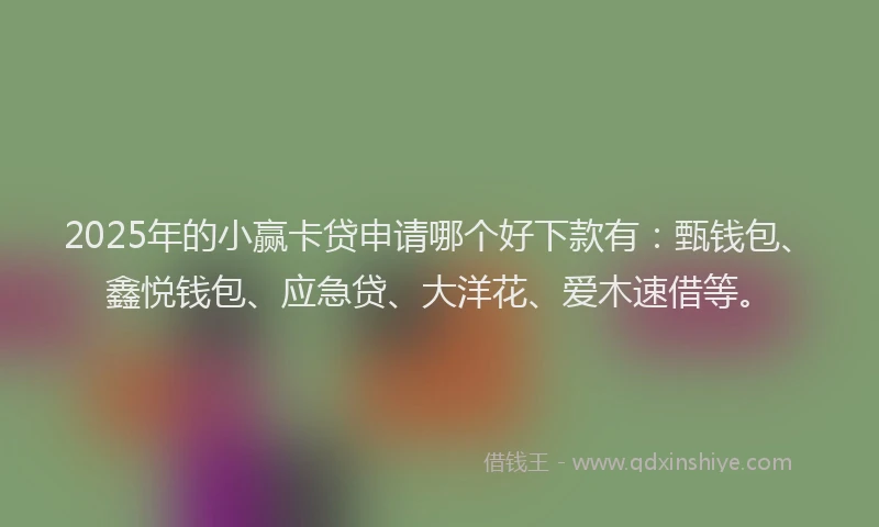 2025年的小赢卡贷申请哪个好下款有：甄钱包、鑫悦钱包、应急贷、大洋花、爱木速借等。