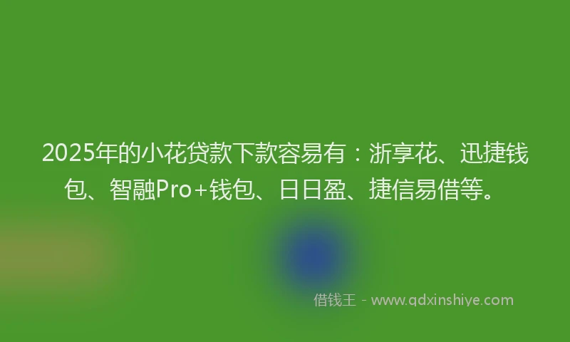 2025年的小花贷款下款容易有：浙享花、迅捷钱包、智融Pro+钱包、日日盈、捷信易借等。