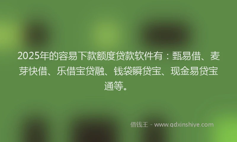 2025年的容易下款额度贷款软件有：甄易借、麦芽快借、乐借宝贷融、钱袋瞬贷宝、现金易贷宝通等。
