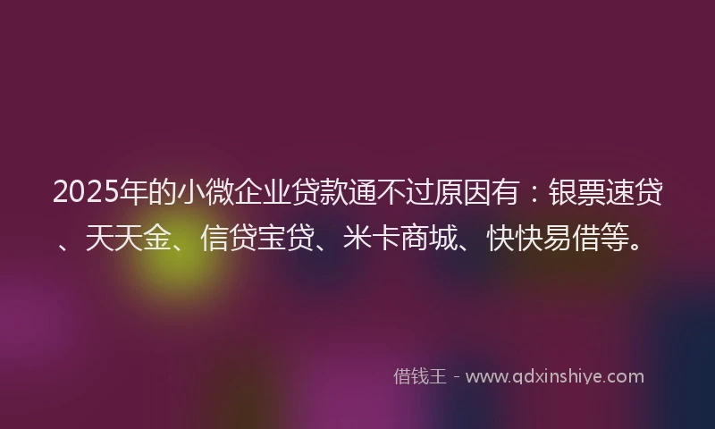 2025年的小微企业贷款通不过原因有：银票速贷、天天金、信贷宝贷、米卡商城、快快易借等。