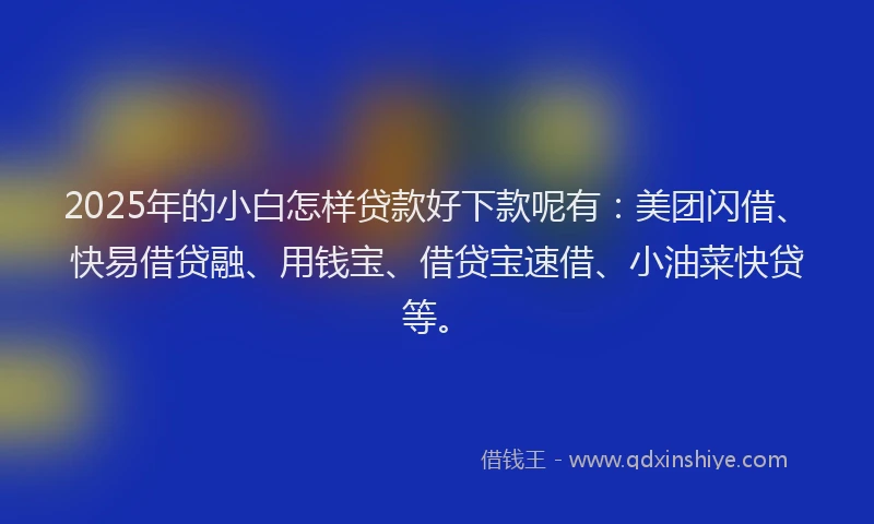 2025年的小白怎样贷款好下款呢有：美团闪借、快易借贷融、用钱宝、借贷宝速借、小油菜快贷等。