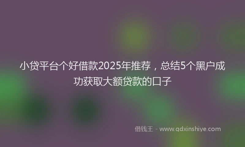 小贷平台个好借款2025年推荐，总结5个黑户成功获取大额贷款的口子