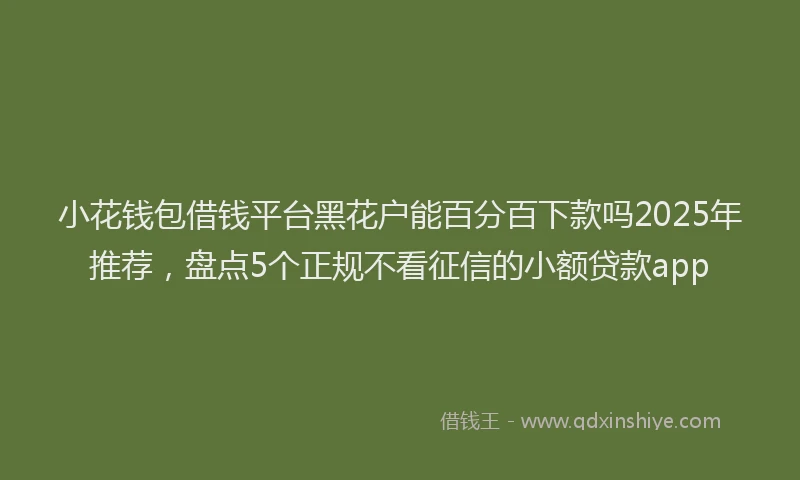 小花钱包借钱平台黑花户能百分百下款吗2025年推荐，盘点5个正规不看征信的小额贷款app