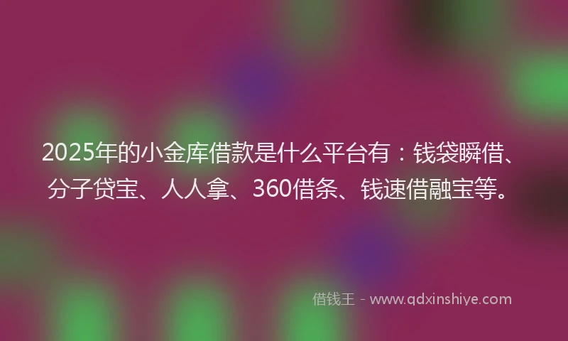 2025年的小金库借款是什么平台有：钱袋瞬借、分子贷宝、人人拿、360借条、钱速借融宝等。