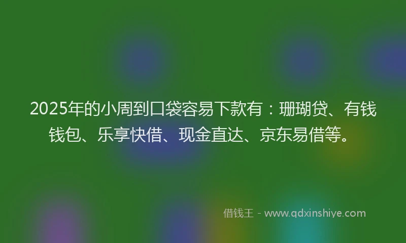 2025年的小周到口袋容易下款有：珊瑚贷、有钱钱包、乐享快借、现金直达、京东易借等。