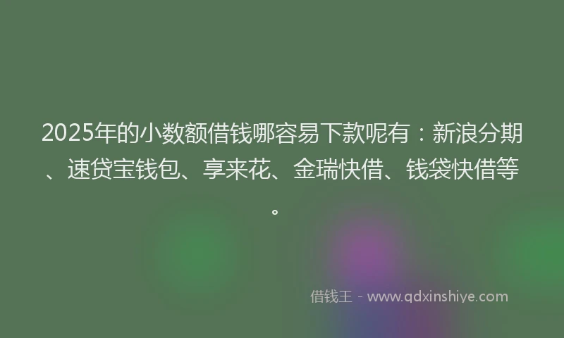 2025年的小数额借钱哪容易下款呢有：新浪分期、速贷宝钱包、享来花、金瑞快借、钱袋快借等。