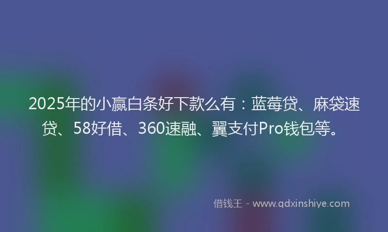 2025年的小赢白条好下款么有：蓝莓贷、麻袋速贷、58好借、360速融、翼支付Pro钱包等。