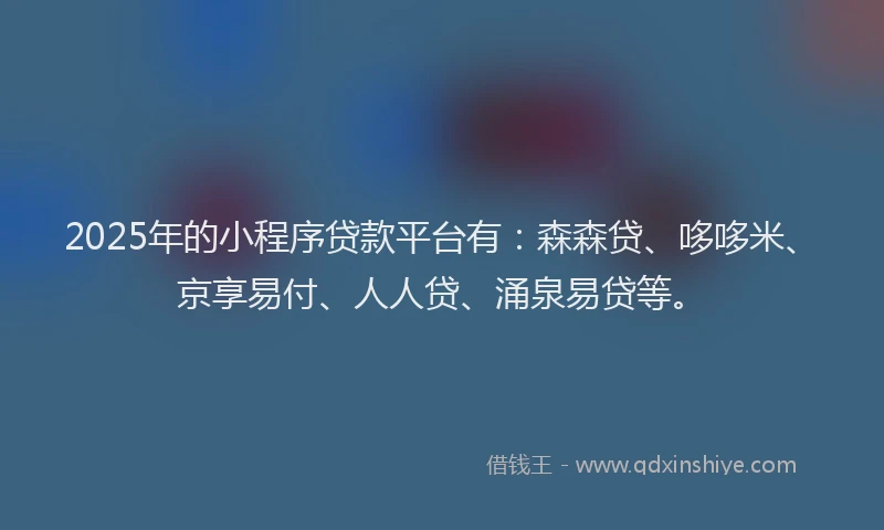 2025年的小程序贷款平台有：森森贷、哆哆米、京享易付、人人贷、涌泉易贷等。
