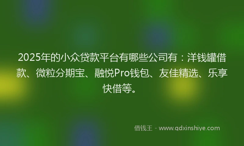 2025年的小众贷款平台有哪些公司有：洋钱罐借款、微粒分期宝、融悦Pro钱包、友佳精选、乐享快借等。