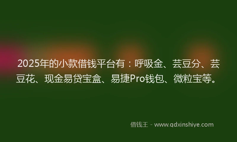 2025年的小款借钱平台有：呼吸金、芸豆分、芸豆花、现金易贷宝盒、易捷Pro钱包、微粒宝等。