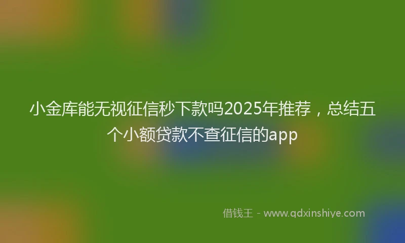 小金库能无视征信秒下款吗2025年推荐，总结五个小额贷款不查征信的app