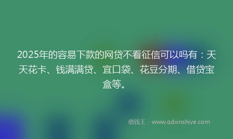 2025年的容易下款的网贷不看征信可以吗有：天天花卡、钱满满贷、宜口袋、花豆分期、借贷宝盒等。