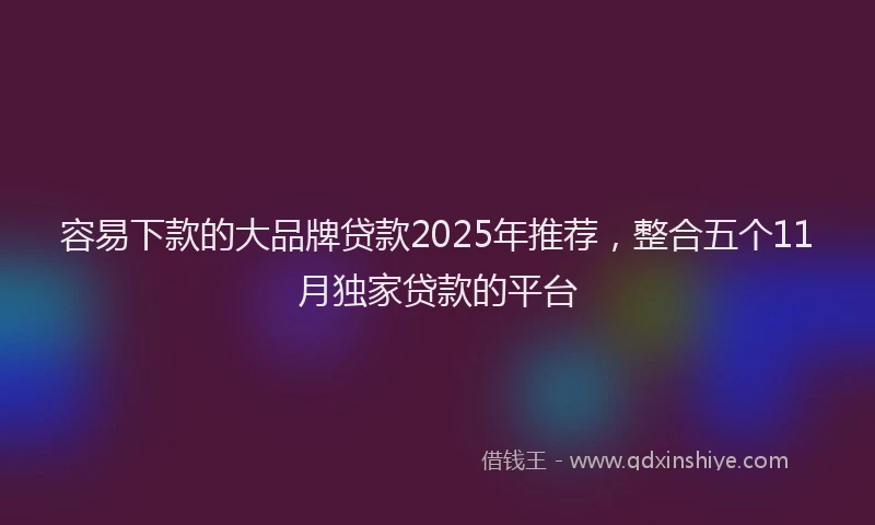 容易下款的大品牌贷款2025年推荐，整合五个11月独家贷款的平台
