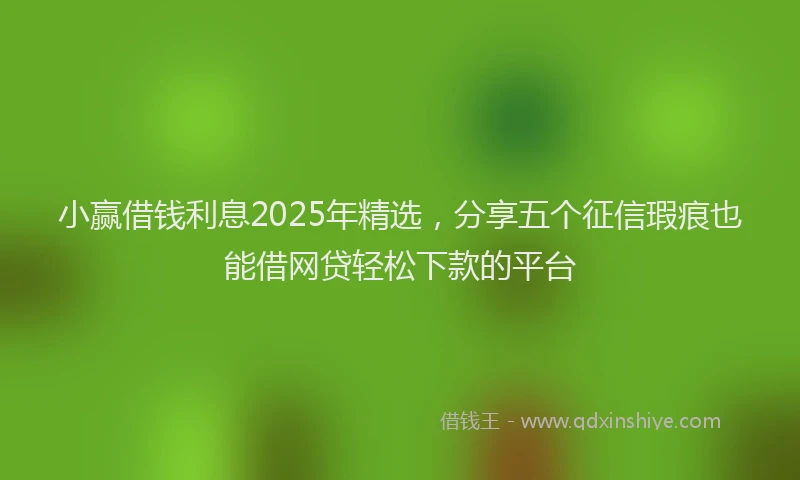 小赢借钱利息2025年精选，分享五个征信瑕疵也能借网贷轻松下款的平台
