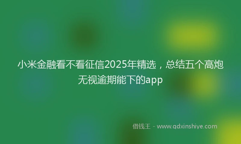 小米金融看不看征信2025年精选，总结五个高炮无视逾期能下的app