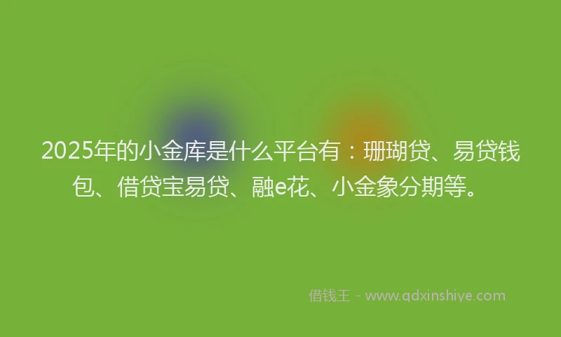 2025年的小金库是什么平台有：珊瑚贷、易贷钱包、借贷宝易贷、融e花、小金象分期等。