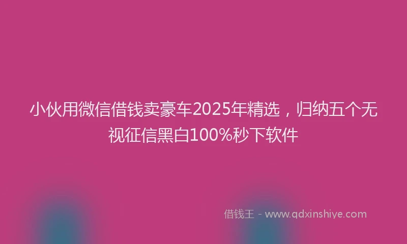 小伙用微信借钱卖豪车2025年精选，归纳五个无视征信黑白100%秒下软件